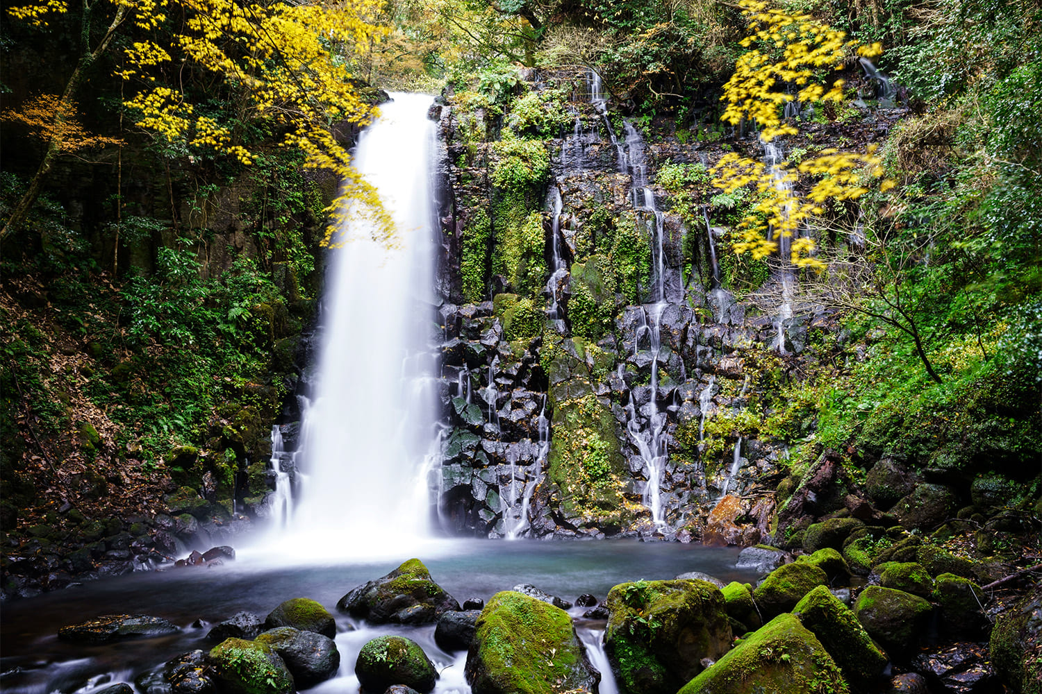 こどもから大人まで楽しめる豊富なアクティビティ